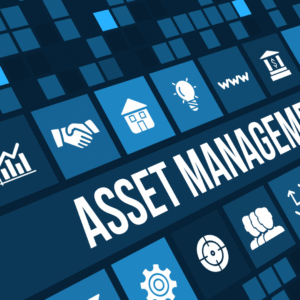 Renovation Asset Management Subscription