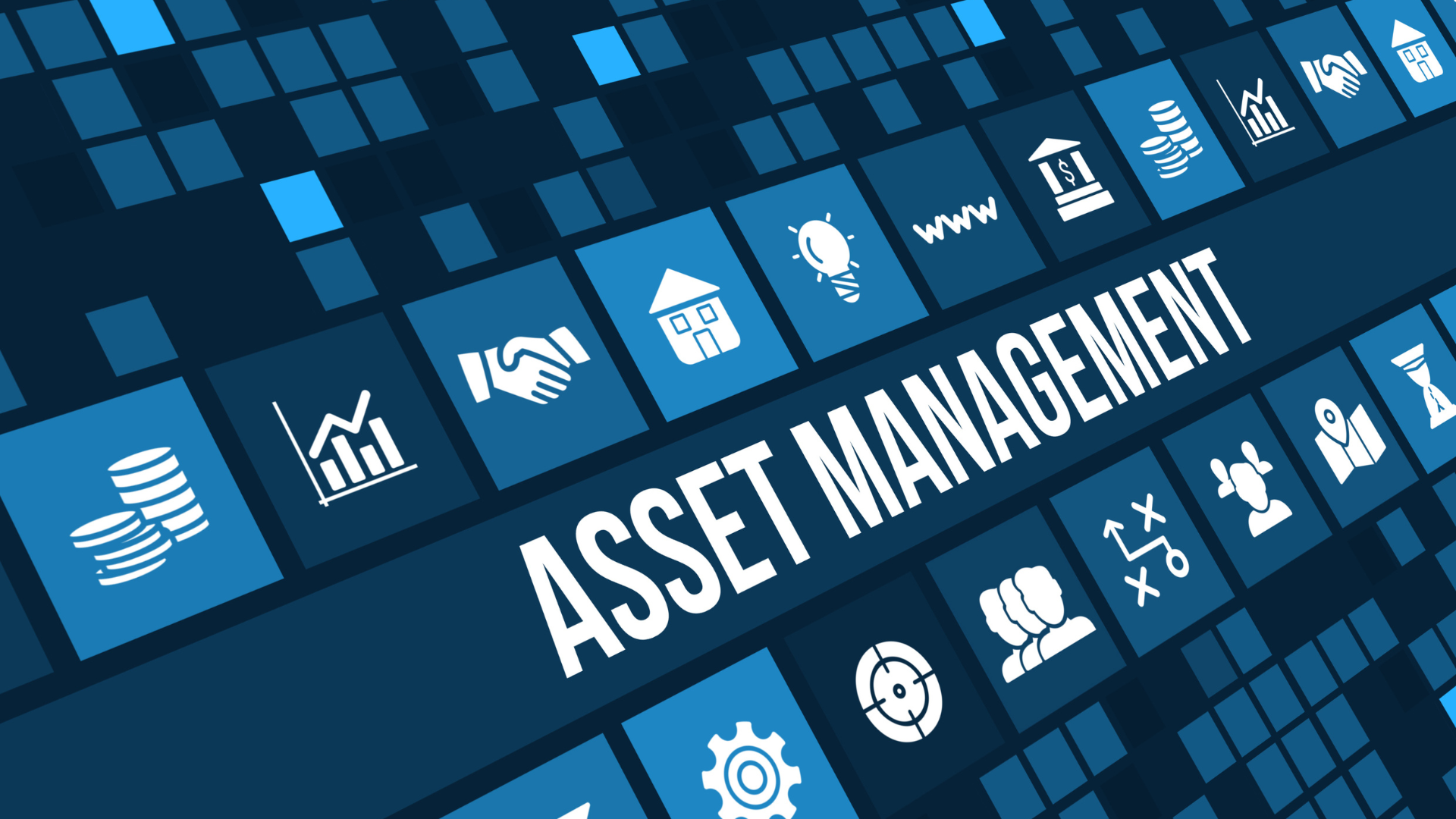 Renovation Asset Management Subscription
